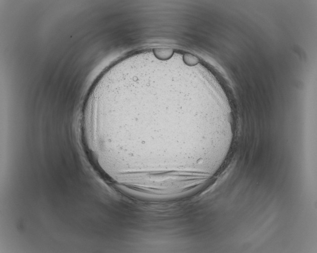 X0000111941325200909071251