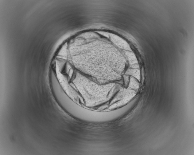 X0000111941326200909071251
