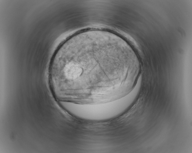 X0000111941327200909071251