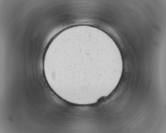 X0000111941328200909071251