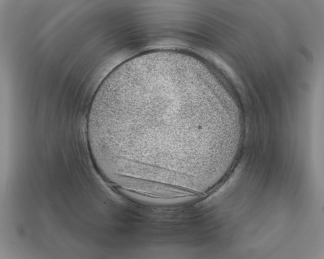 X0000111941329200909071251