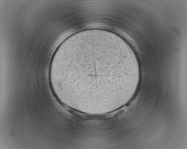 X0000111941330200909071251
