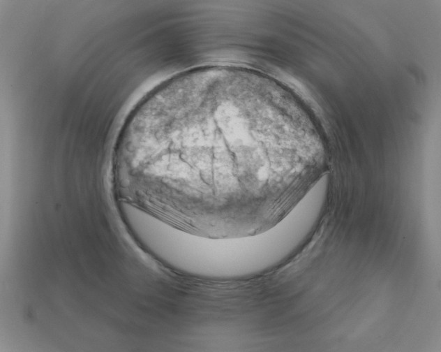 X0000111941331200909071251