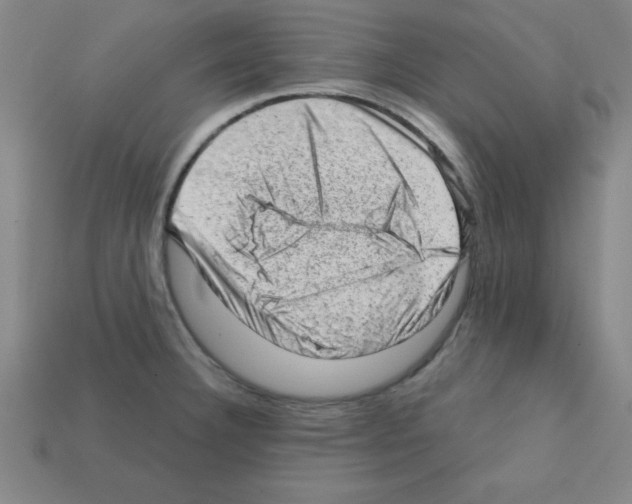 X0000111941332200909071251