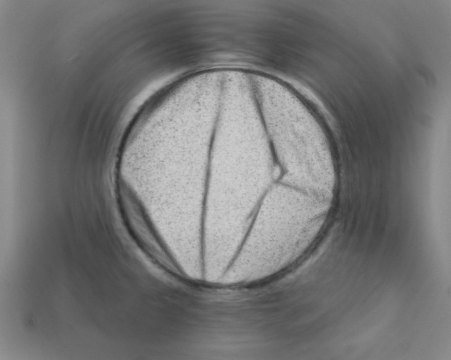 X0000111941333200909071251