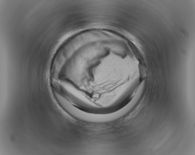 X0000111941334200909071251