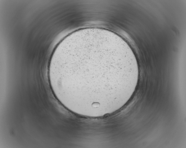 X0000111941336200909071251