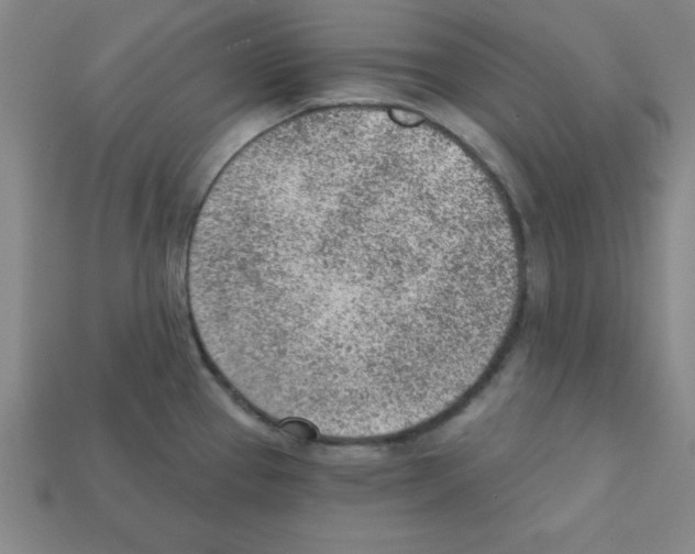 X0000111941337200909071251