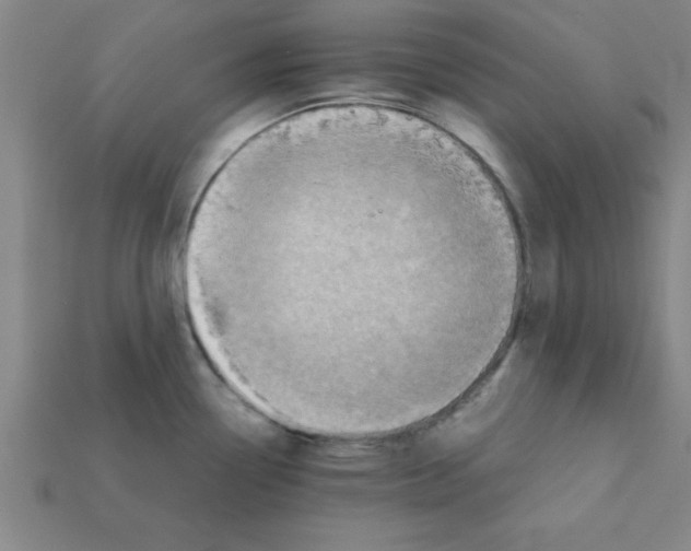 X0000111941338200909071251