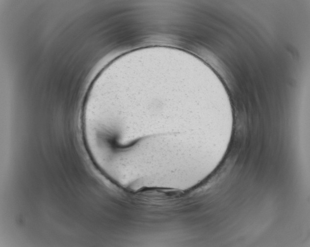 X0000111941339200909071251