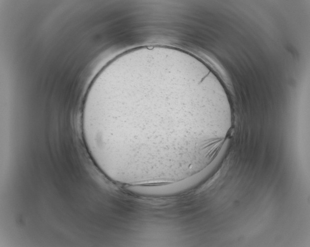 X0000111941340200909071251