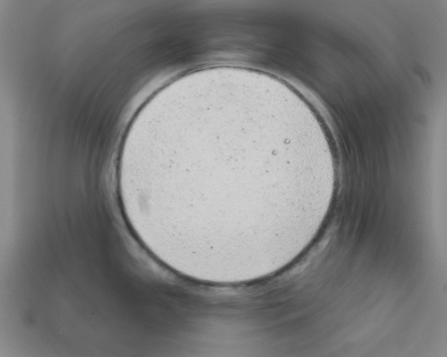 X0000111941341200909071251