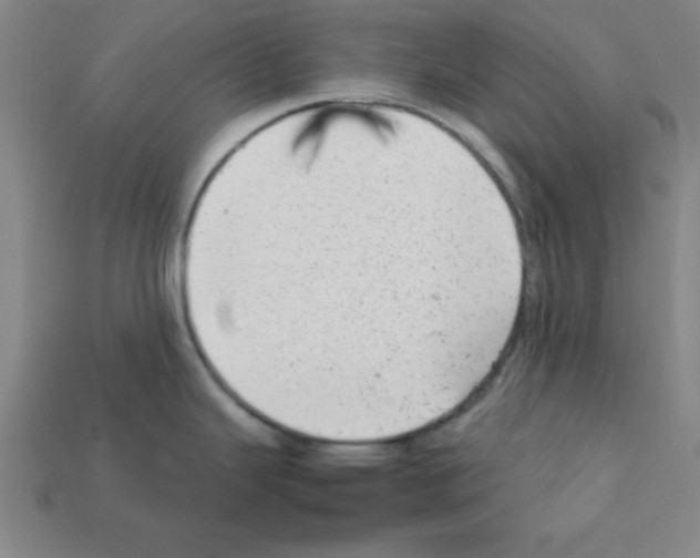X0000111941343200909071251