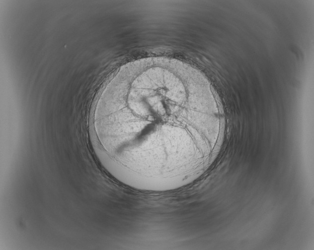 X0000111941345200909071251