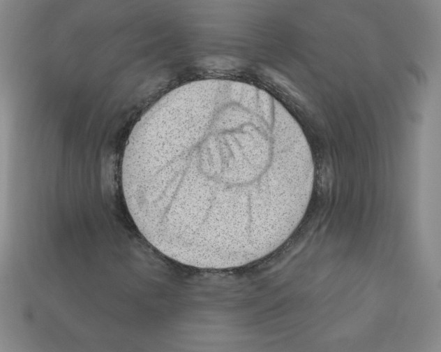 X0000111941346200909071251