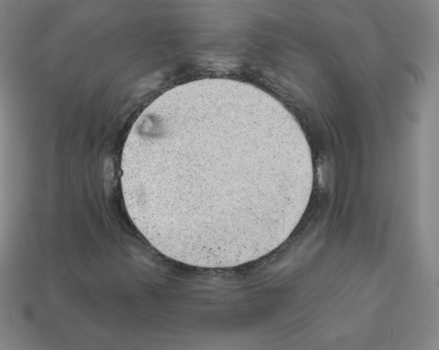 X0000111941347200909071251