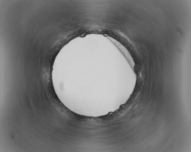 X0000111941348200909071251