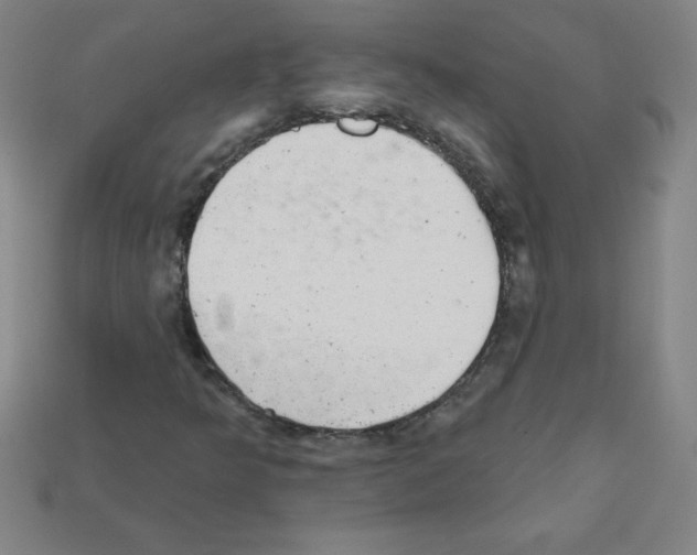 X0000111941349200909071251