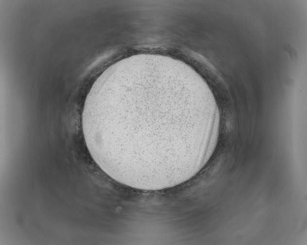 X0000111941350200909071251