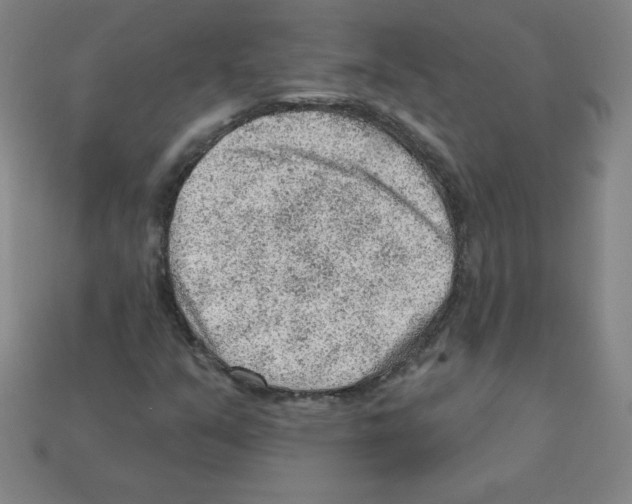 X0000111941351200909071251