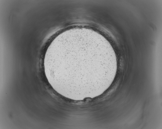 X0000111941352200909071251