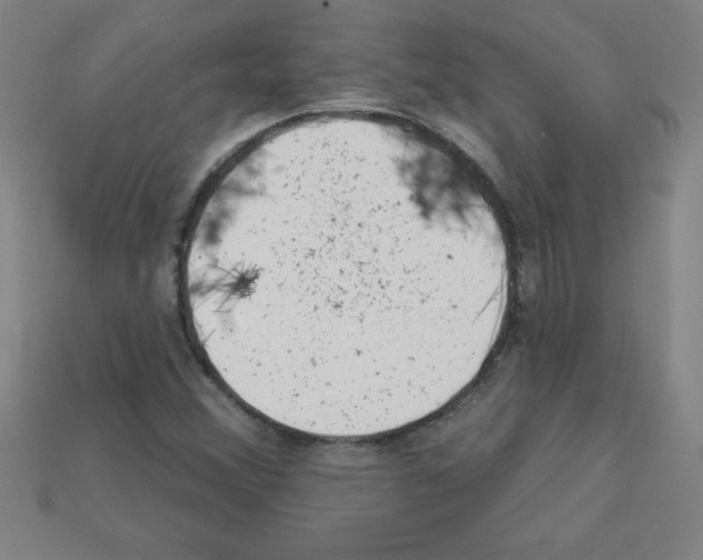 X0000111941356200909071251