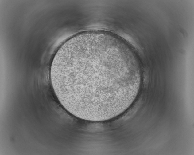 X0000111941358200909071251