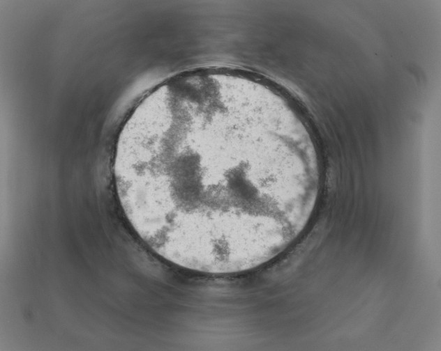 X0000111941359200909071251