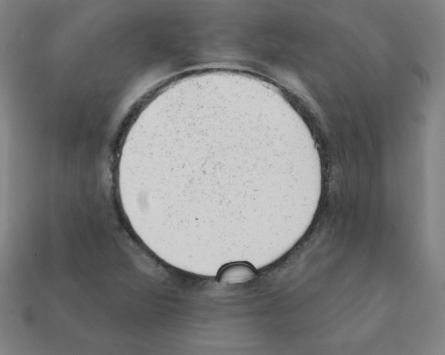X0000111941360200909071251