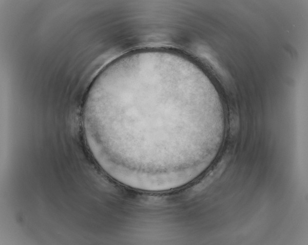 X0000111941361200909071251