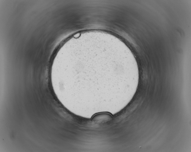 X0000111941364200909071251