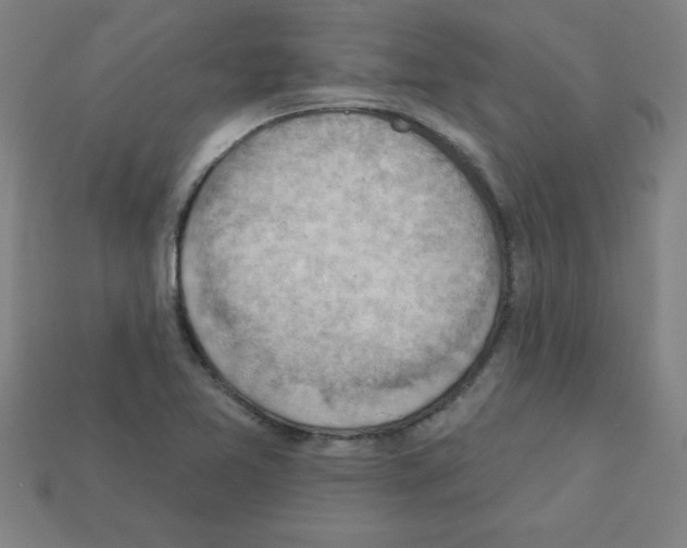 X0000111941365200909071251