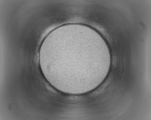 X0000111941366200909071251