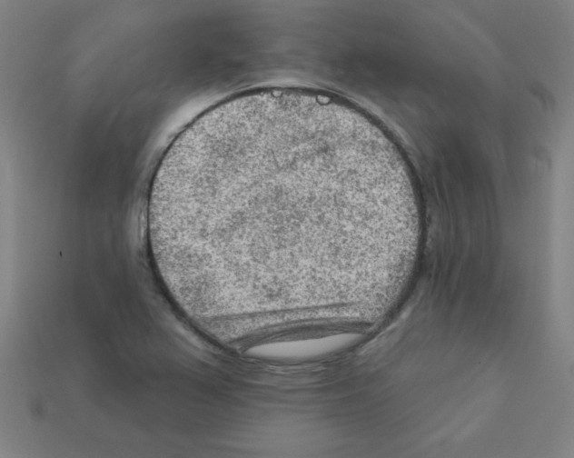 X0000111941367200909071251