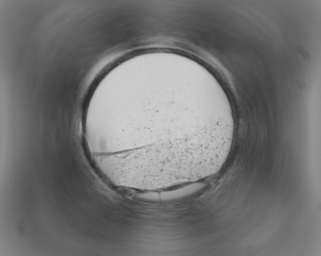 X0000111941368200909071251