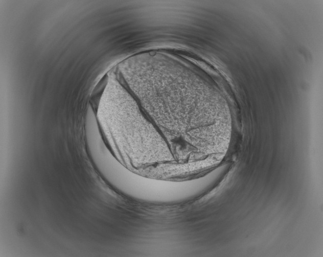 X0000111941369200909071251