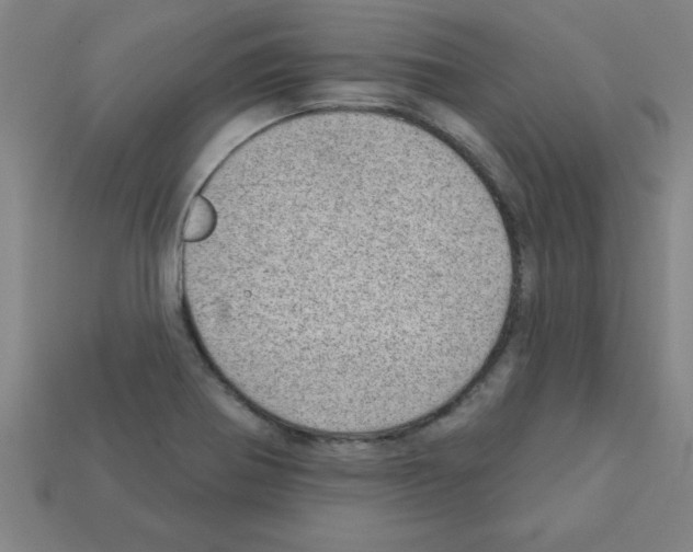 X0000111941370200909071251