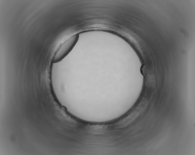 X0000111941373200909071251