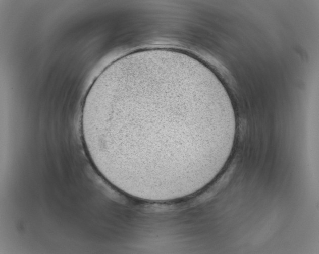 X0000111941374200909071250