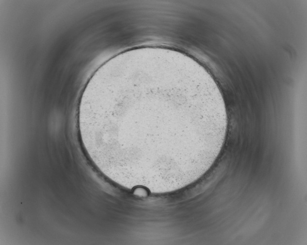 X0000111941375200909071250