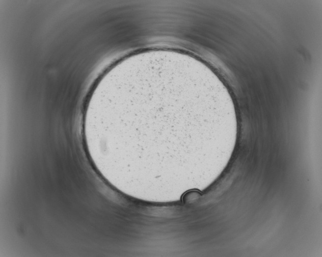 X0000111941376200909071250