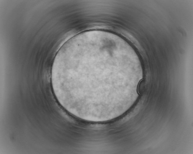 X0000111941377200909071250