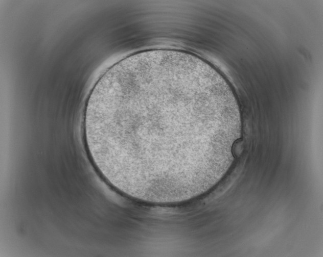X0000111941379200909071250