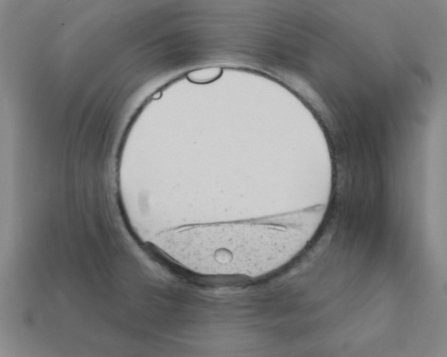 X0000111941380200909071250