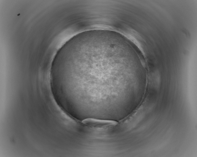 X0000111941381200909071250