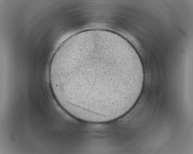 X0000111941382200909071250