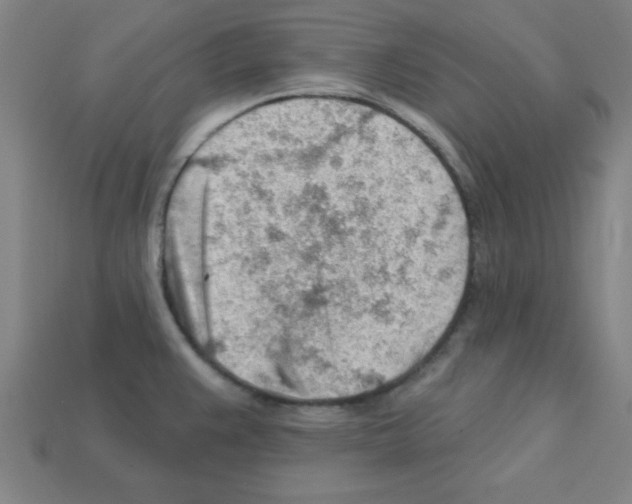 X0000111941383200909071250