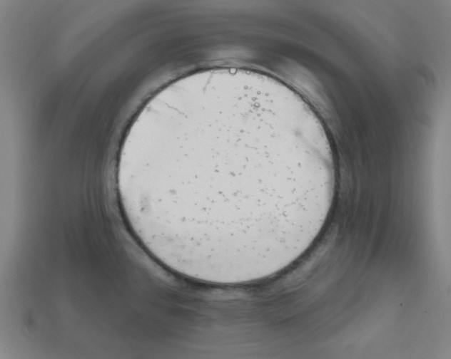 X0000111941384200909071250