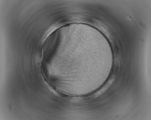 X0000111941385200909071250
