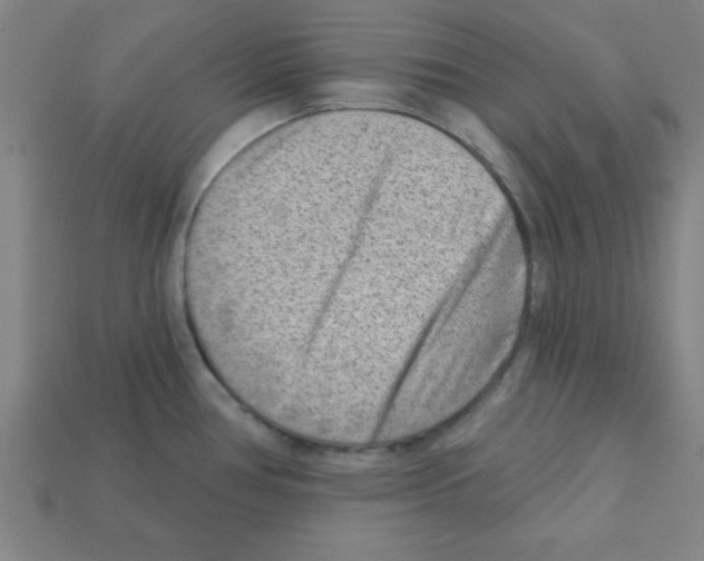 X0000111941386200909071250